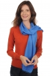 Cachemire et Soie accessoires scarva bleuet 170x25cm